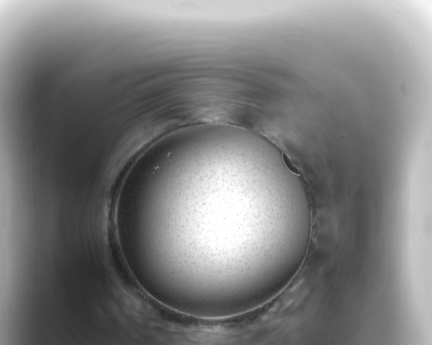 X0000089450194200706221253