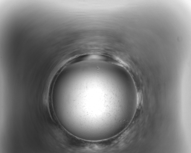 X0000089450195200706221253