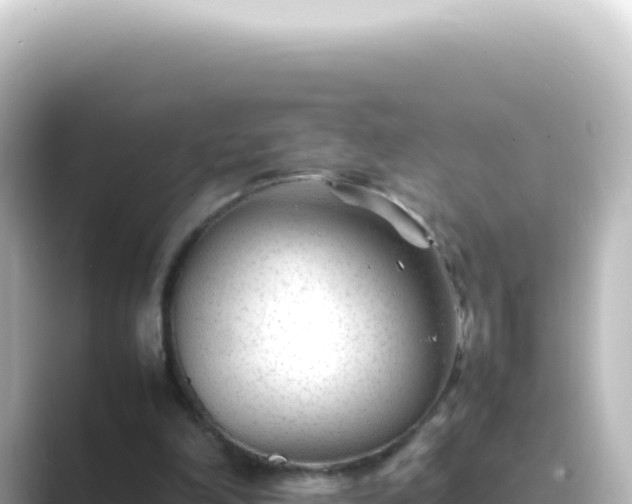 X0000089450198200706221253