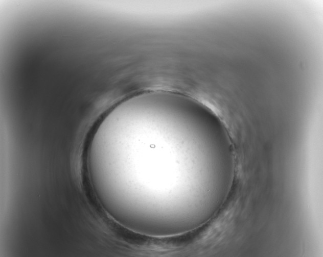 X0000089450199200706221253