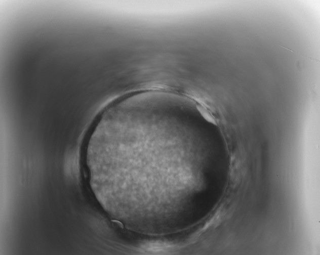 X0000089450200200706221253