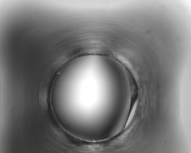 X0000089450201200706221253