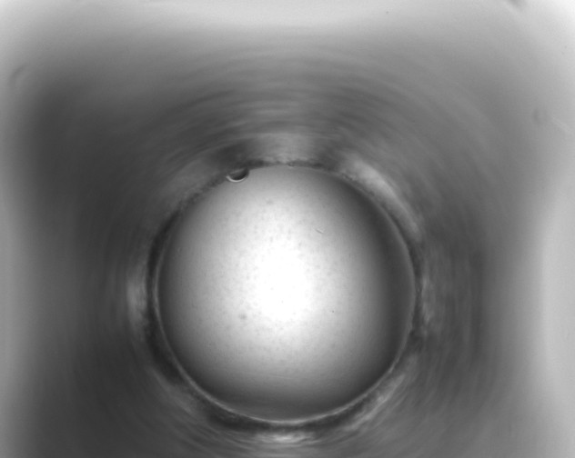 X0000089450202200706221253