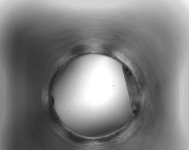 X0000089450203200706221253