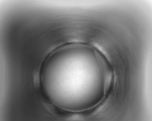 X0000089450204200706221253