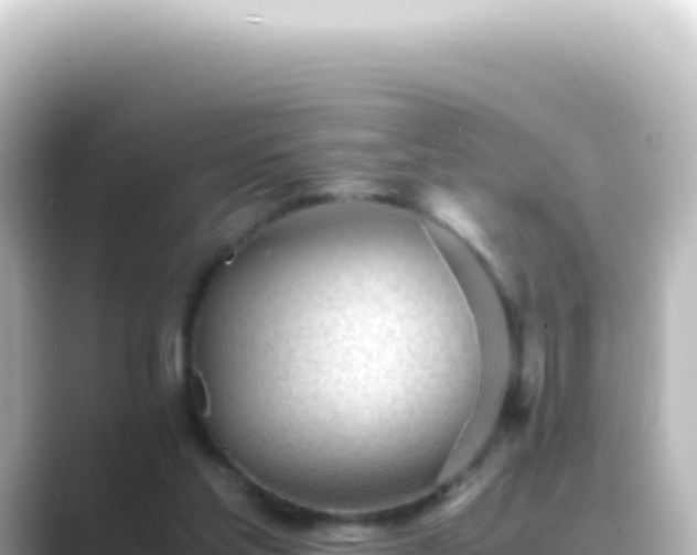 X0000089450205200706221253