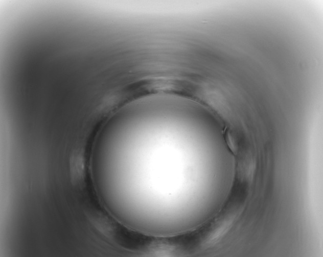 X0000089450207200706221253