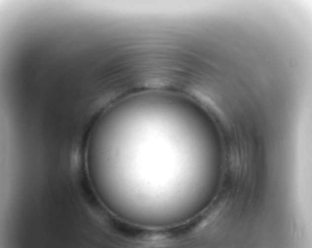 X0000089450208200706221253