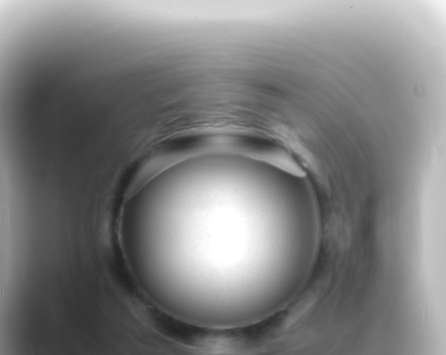 X0000089450209200706221253
