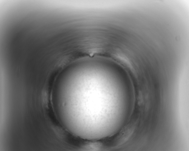 X0000089450210200706221253