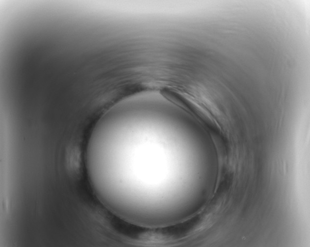 X0000089450211200706221253