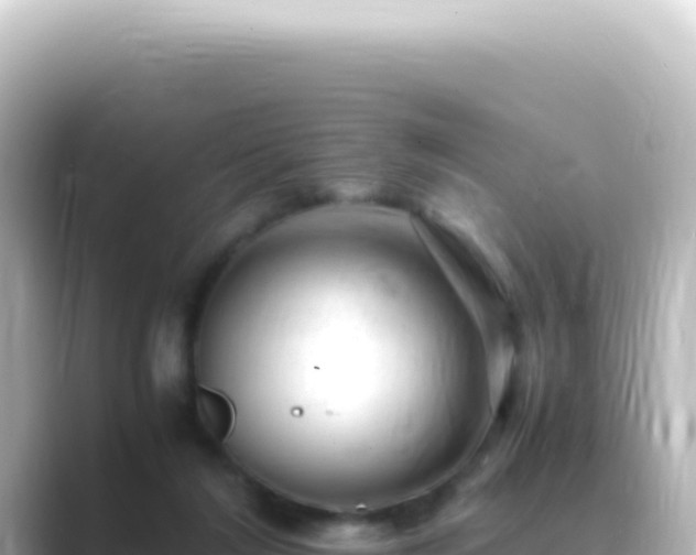 X0000089450212200706221253