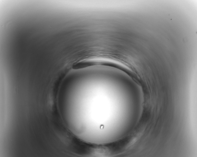 X0000089450215200706221253