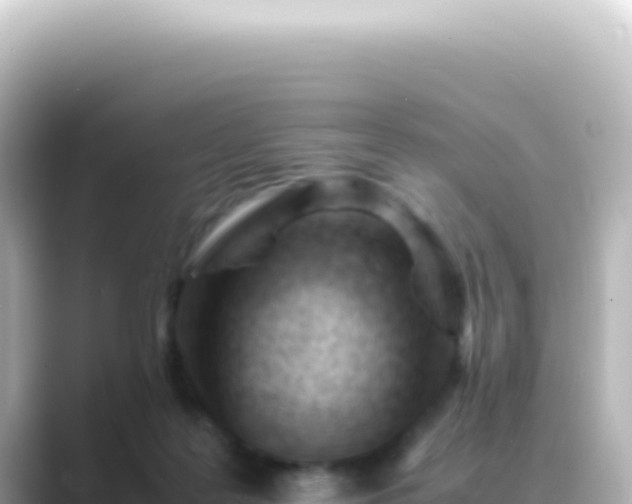 X0000089450219200706221253