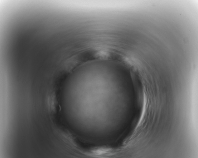 X0000089450223200706221253