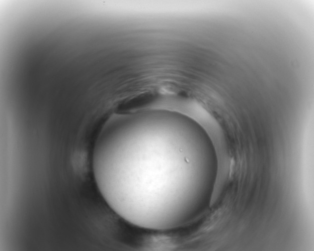 X0000089450224200706221253
