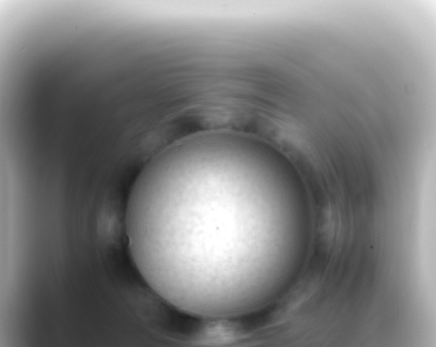 X0000089450226200706221253