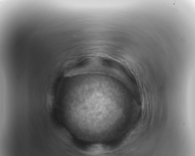 X0000089450227200706221253