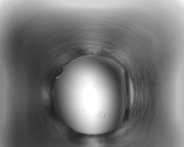 X0000089450228200706221253