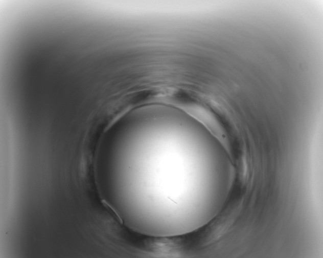 X0000089450229200706221253