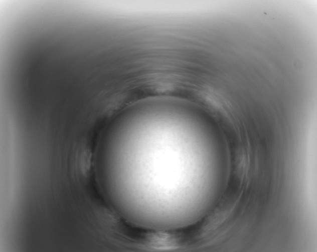 X0000089450230200706221253