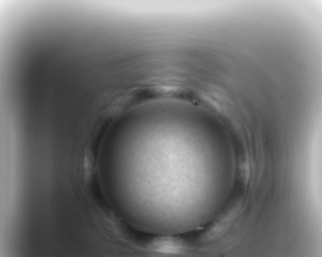 X0000089450231200706221253