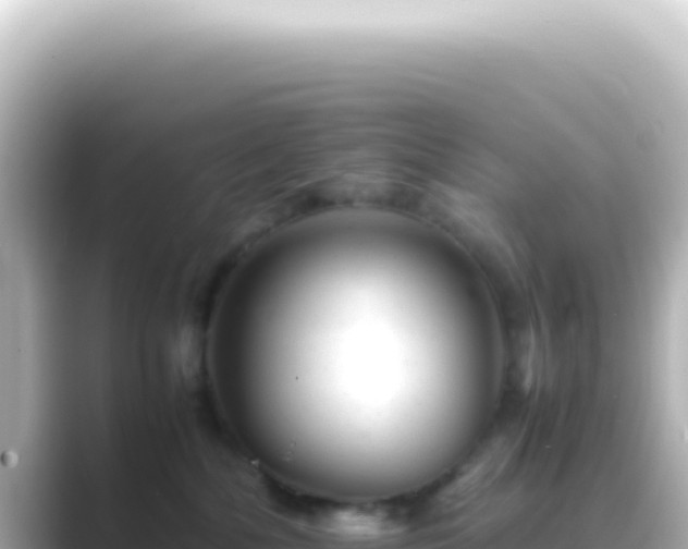 X0000089450232200706221253