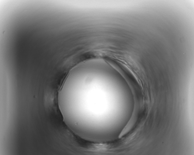 X0000089450233200706221253