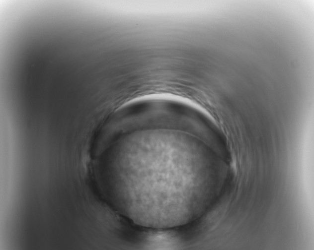 X0000089450235200706221253