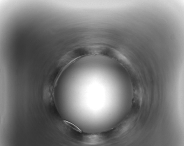 X0000089450237200706221253