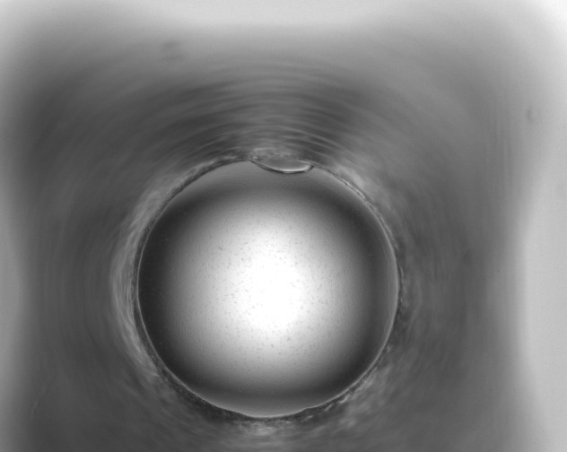 X0000089450241200706221252