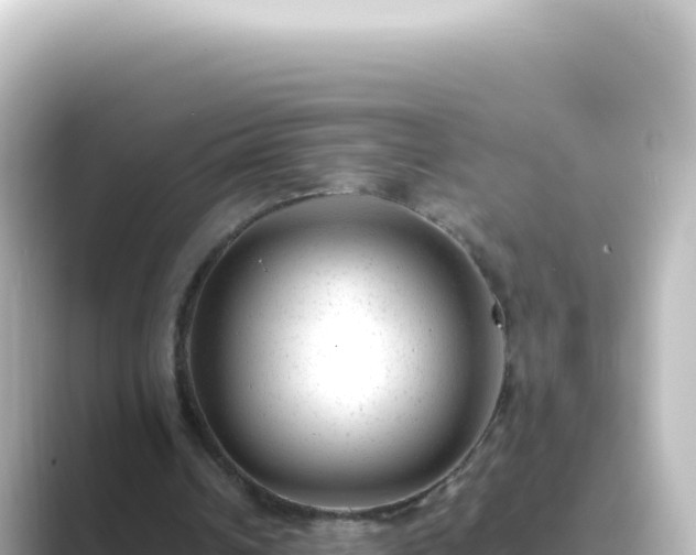 X0000089450242200706221252