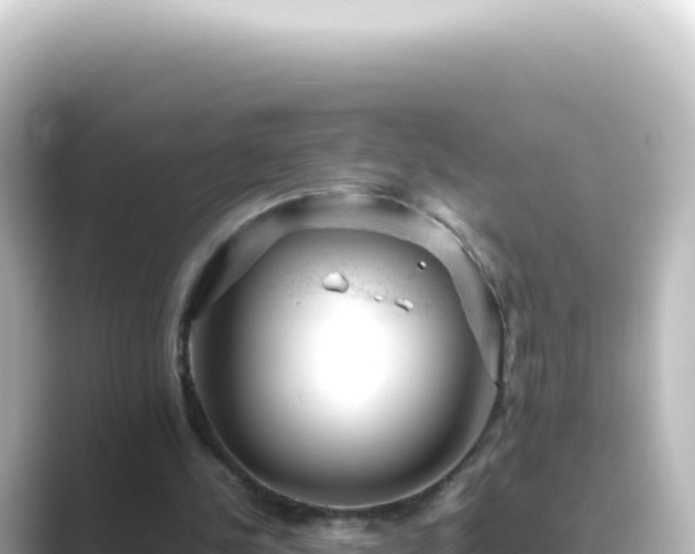 X0000089450244200706221252