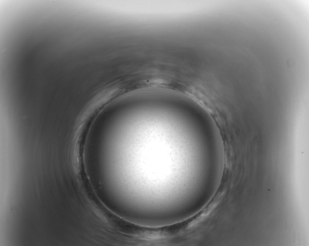 X0000089450245200706221252