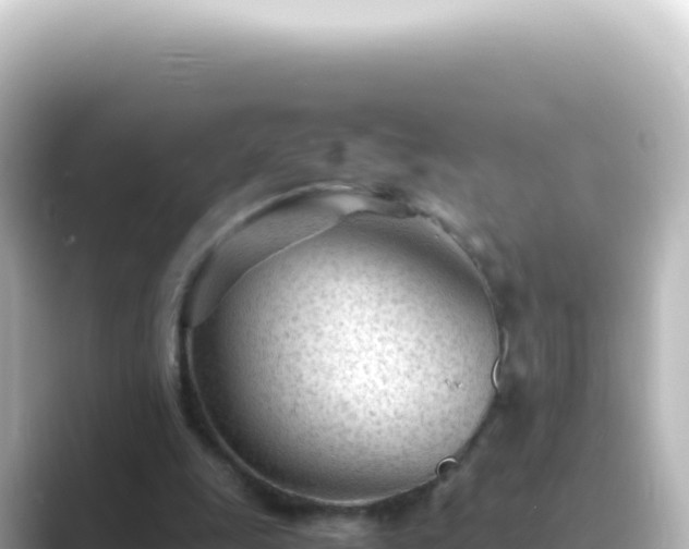X0000089450247200706221252