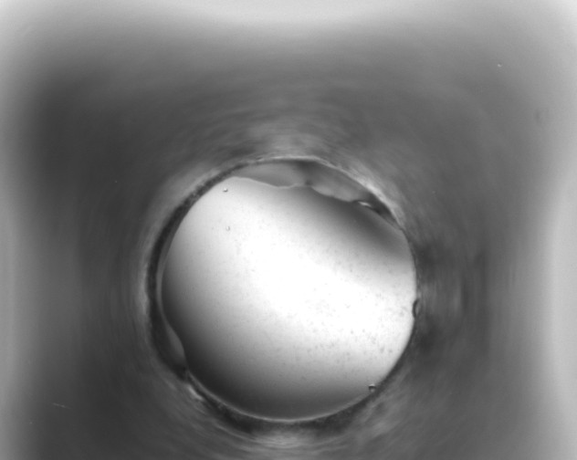 X0000089450248200706221252