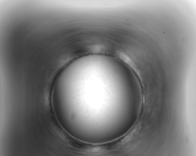 X0000089450249200706221252