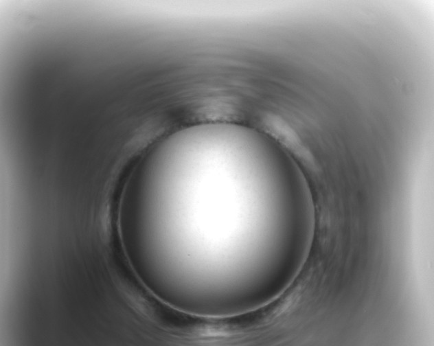 X0000089450250200706221252
