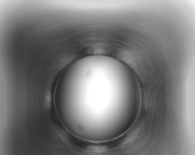 X0000089450251200706221252