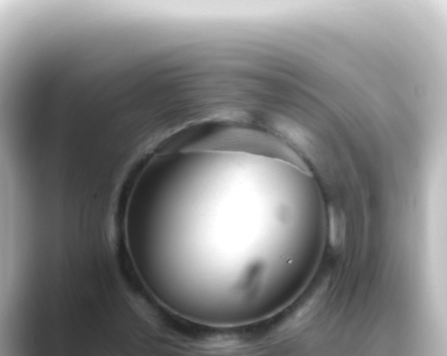 X0000089450252200706221252