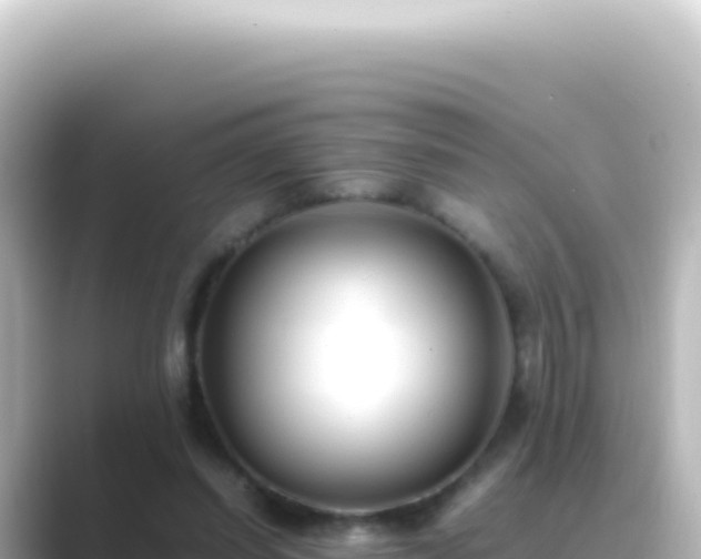 X0000089450254200706221252