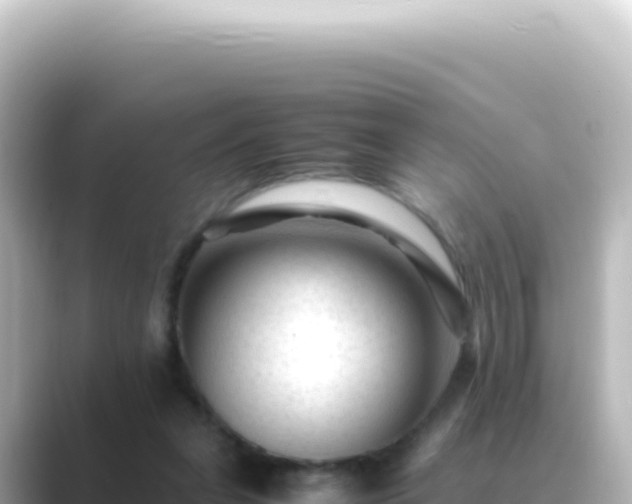 X0000089450255200706221252