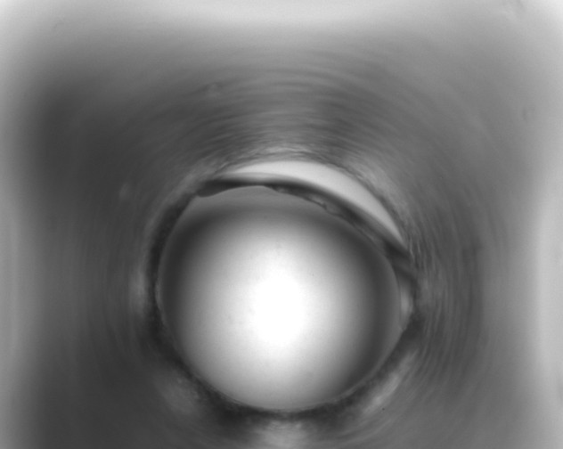 X0000089450256200706221252