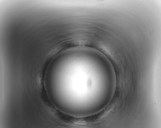 X0000089450258200706221252