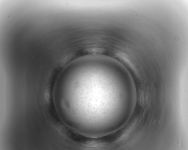 X0000089450259200706221252