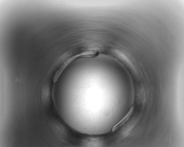 X0000089450260200706221252