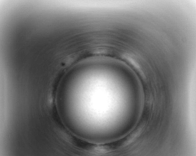 X0000089450261200706221252