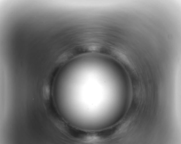 X0000089450262200706221252