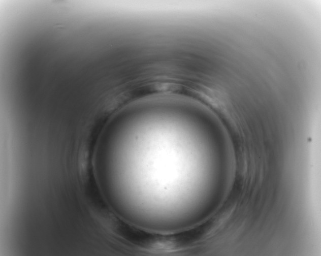 X0000089450263200706221252