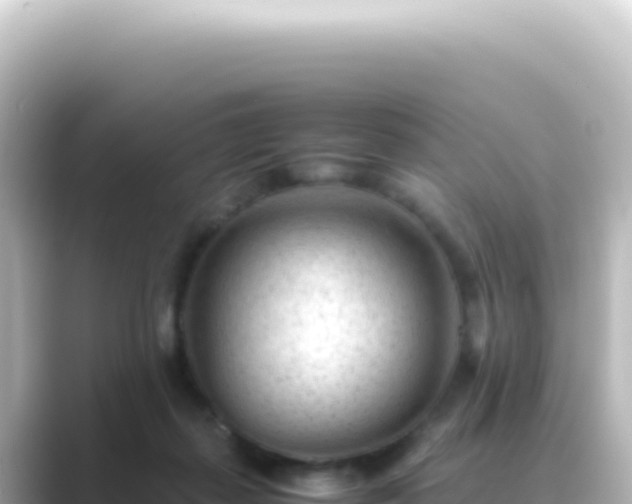 X0000089450267200706221252